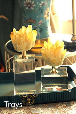 Trays
