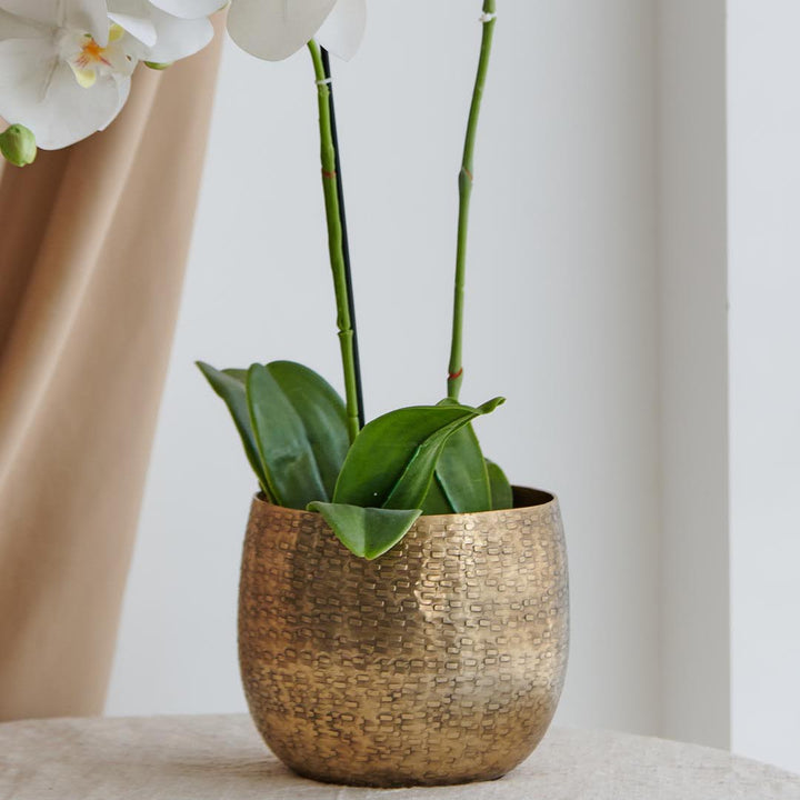 Product Code: DSK-1115