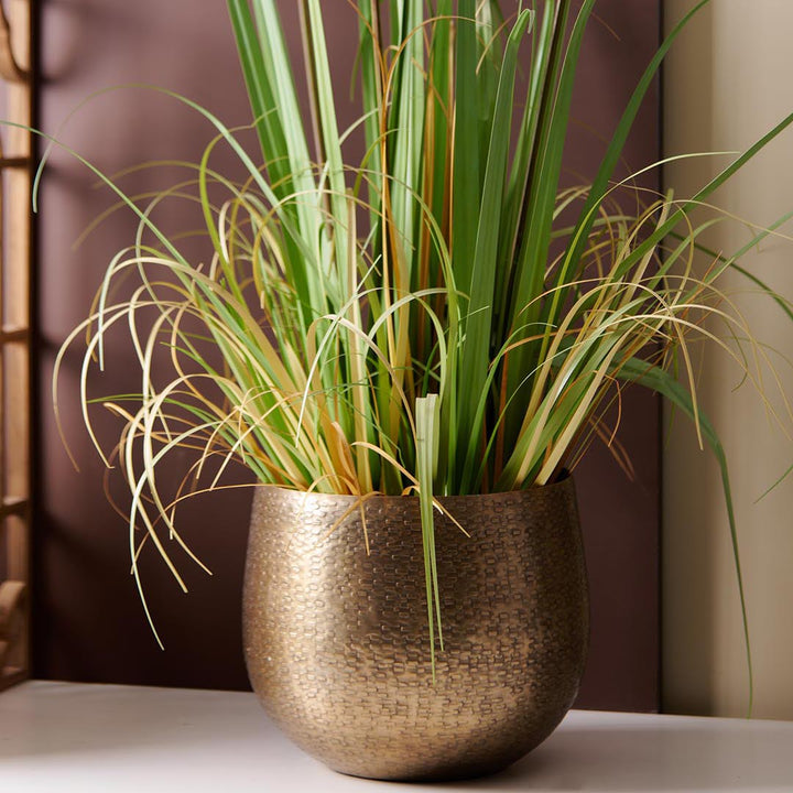 Product Code: DSK-1116