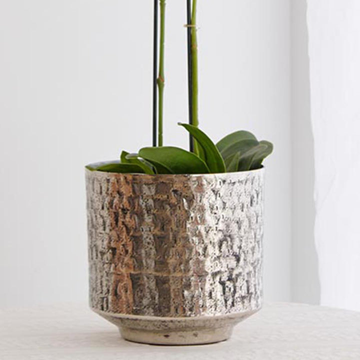 Product Code: DSK-1131