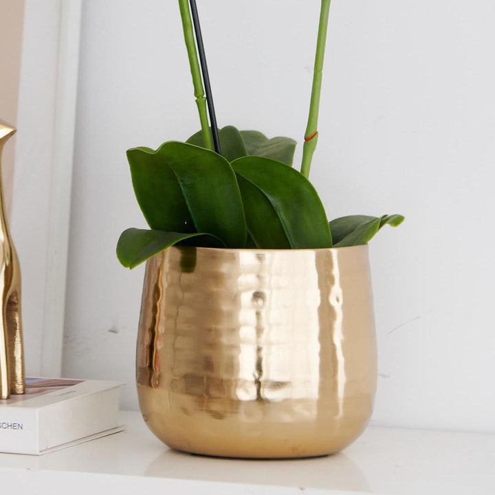 Product Code: DSK-1142