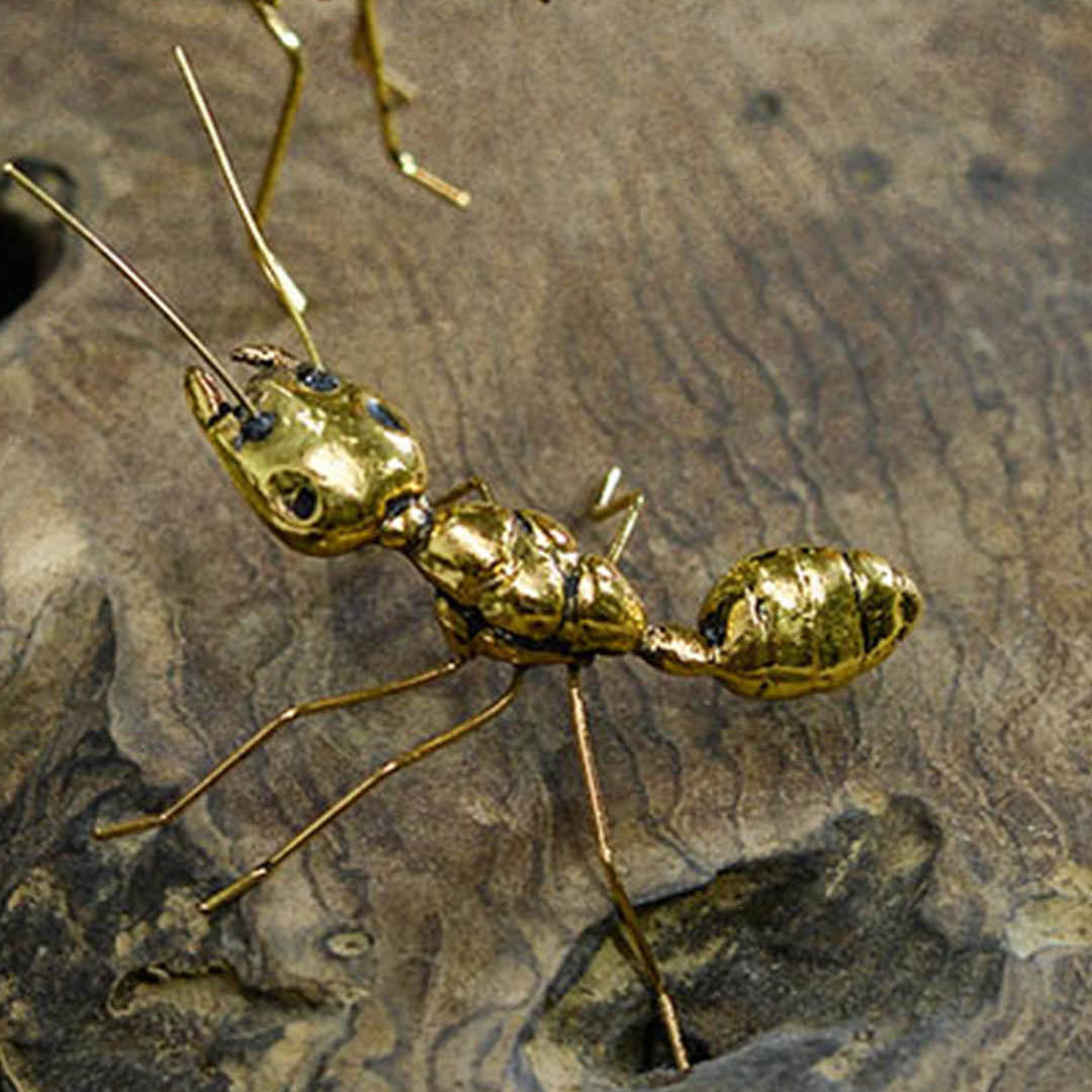 Product Code: DSK-1162