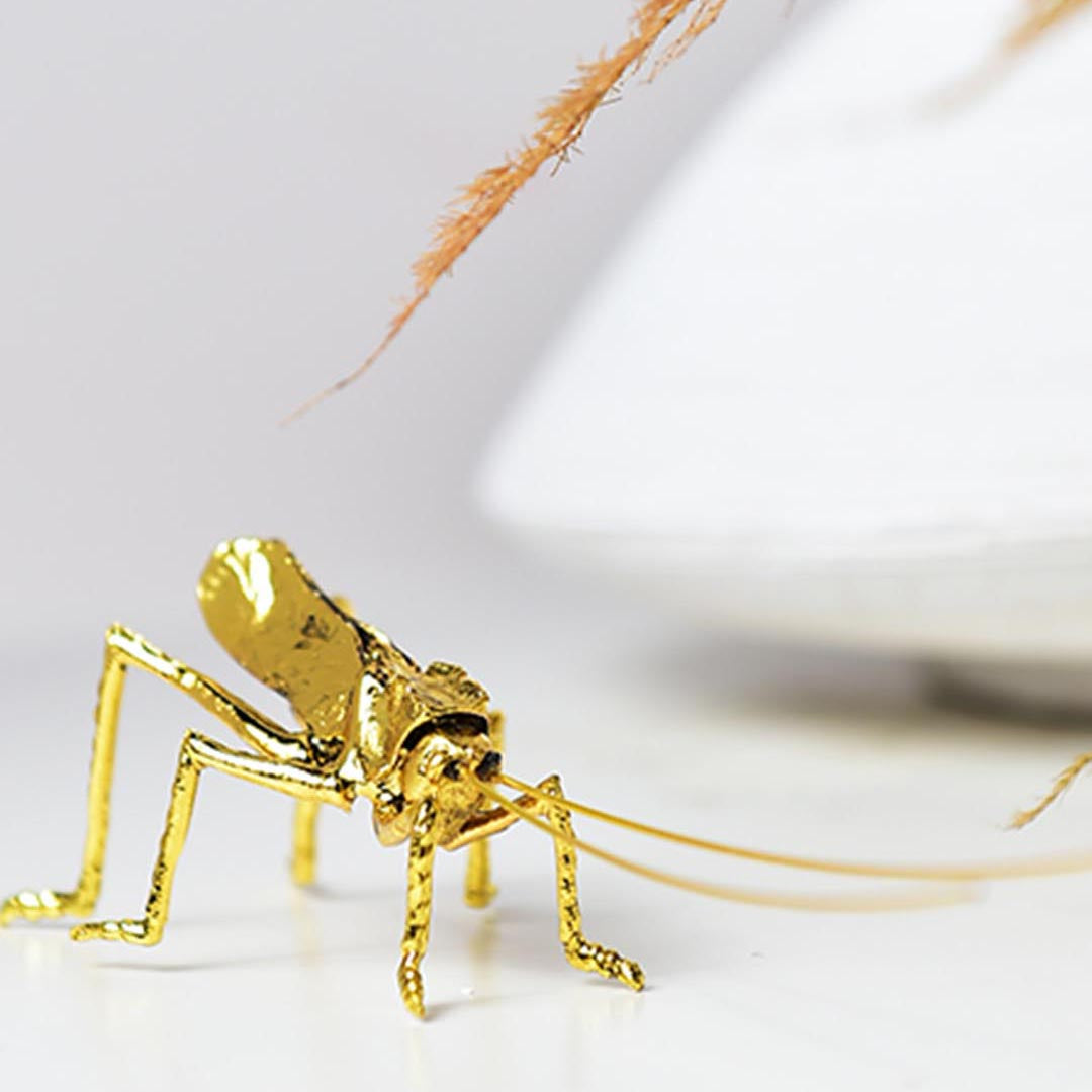 Product Code: DSK-1165