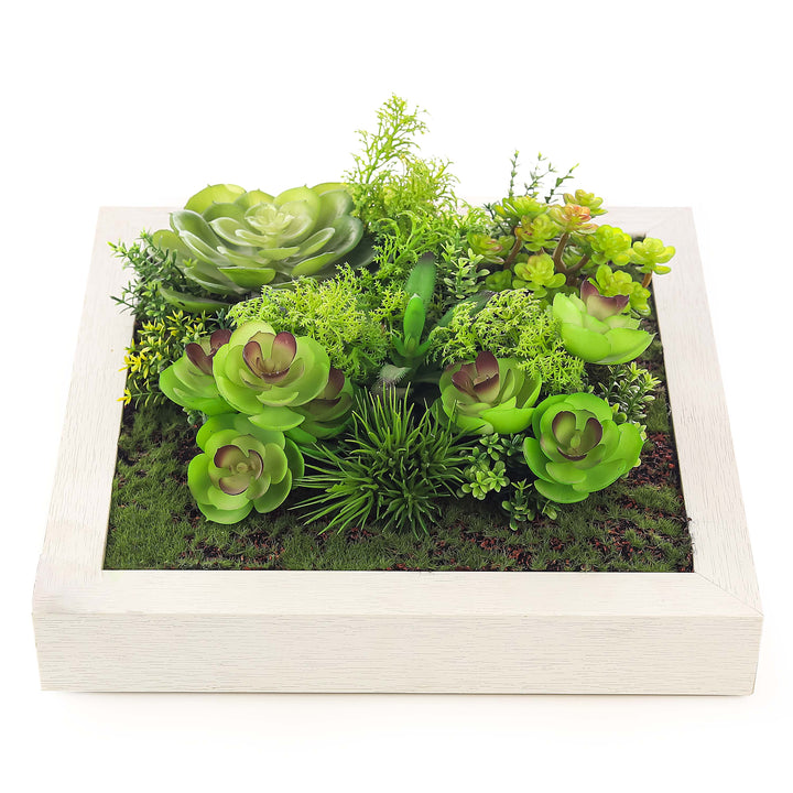 Product Code: TVN-0183