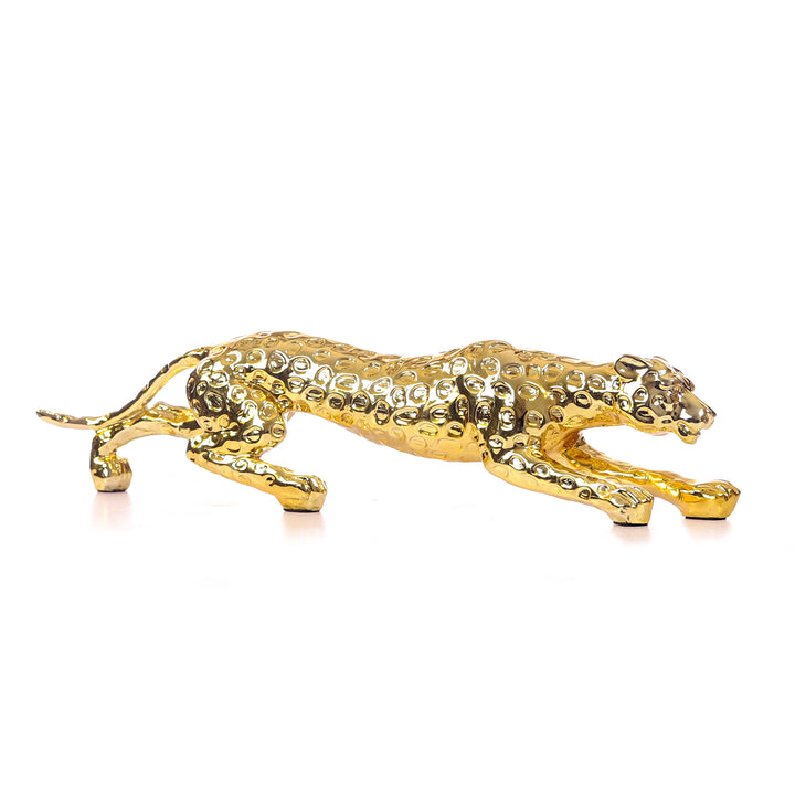 Product Code: ZDM-0016