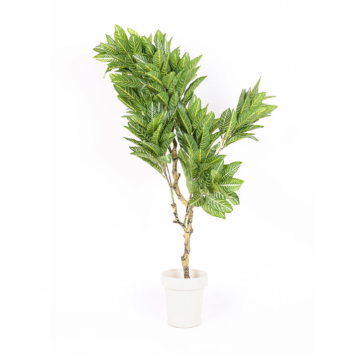 Product Code: NTS-0123