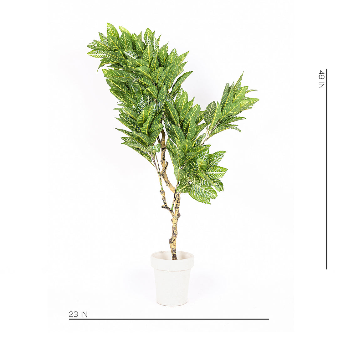 Product Code: NTS-0123