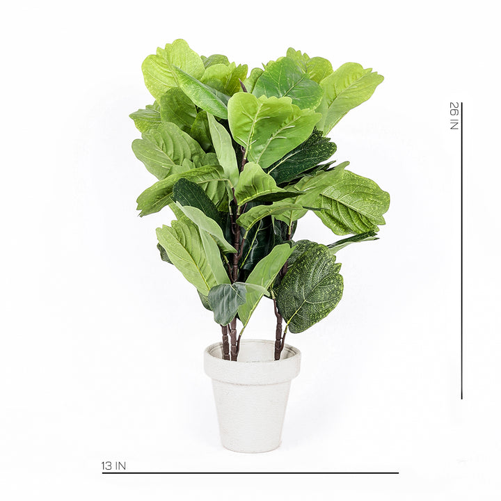 Product Code: NTS-0139