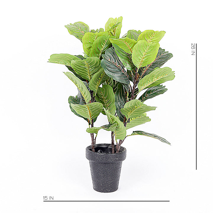 Product Code: NTS-0141